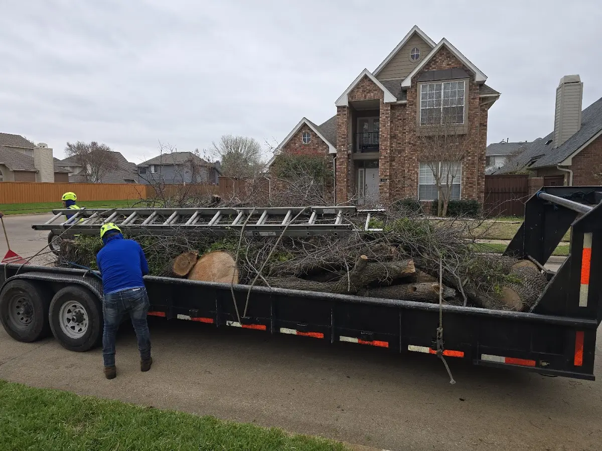 Expert Tree Pest Control with proper safety equipment in Pompano Beach